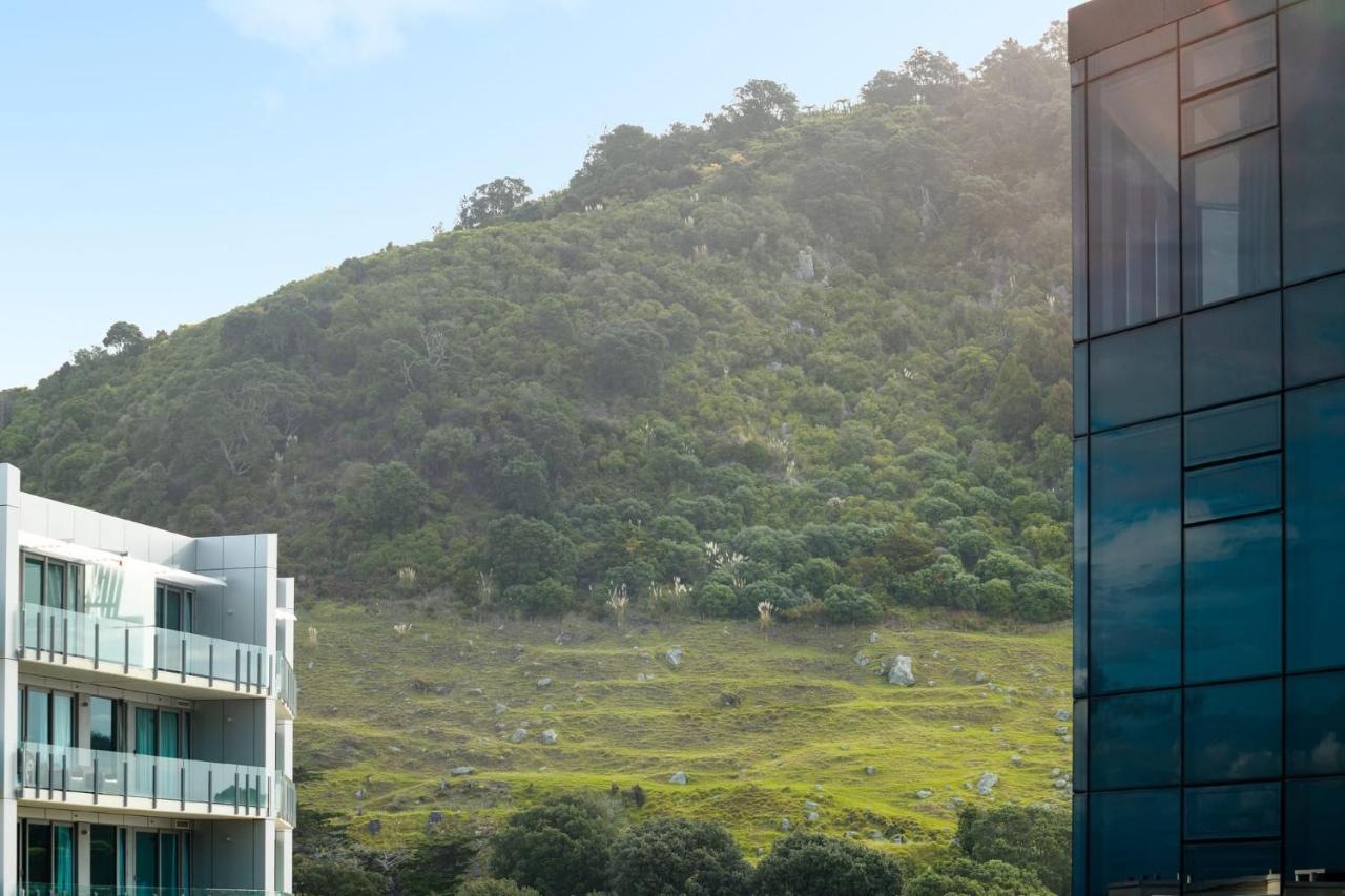 Superb Elevated Views Of Harbour With Heated Pool, Gym & Parking Apartment เมาท์มองานุย ภายนอก รูปภาพ